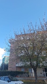 Foto Appartamento a Grosseto Stazione - Via Roma di 90 m² con 5 locali