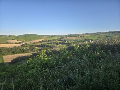 Foto Terreno agricolo a Larino di 56000 m² in vendita