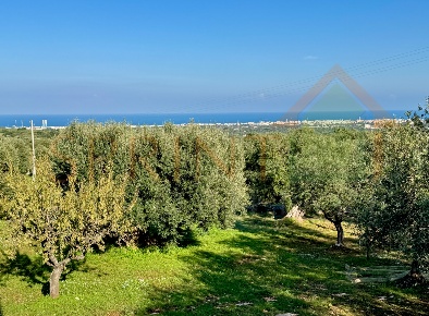 Foto Terreno agricolo in Contrada San Vincenzo, Monopoli di 11470 m²