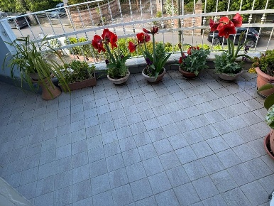 Foto Appartamento a Massa Ronchi - Poveromo di 90 m² con 4 locali