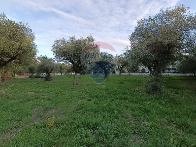 Foto Terreno residenziale in Via Bologna, Lanciano Centro di 710 m²