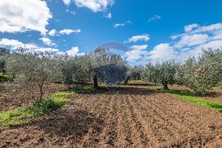 Foto Terreno agricolo in Via Giambattista Fanales, Caltagirone Centro