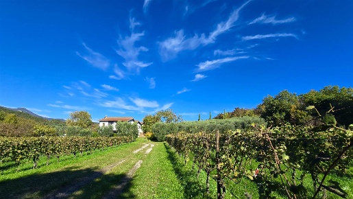 Foto Rustico a Puegnago del Garda Castello di 600 m² con 7 locali