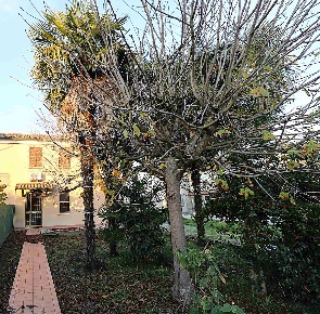 Foto Villa bifamiliare a Lugo di 140 m² con 4 locali in vendita