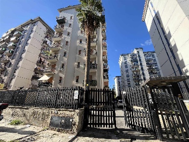 Foto Appartamento a Palermo Montegrappa di 50 m² con 1 locali in affitto