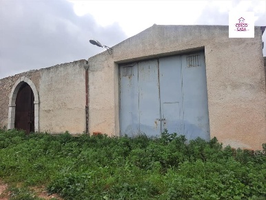 Foto Terreno agricolo in fulgatore, Trapani Fulgatore Torretta in vendita