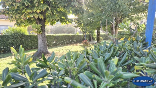 Foto Appartamento a Viareggio Darsena - Ex Campo di Aviazione di 91 m²