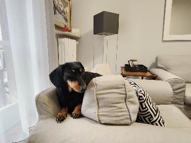 Foto Appartamento in Via Leonardo da Vinci 28, Torino San Salvario - Dante