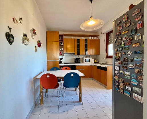 immagine annuncio 1 di 14