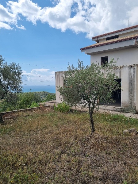 immagine annuncio 5 di 14