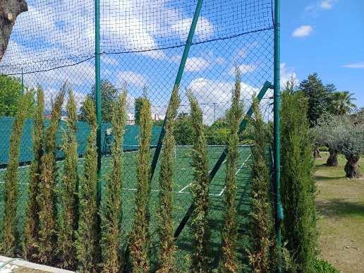 immagine annuncio 2 di 3