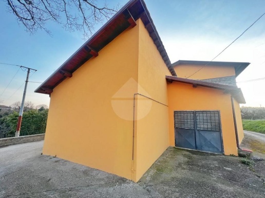 immagine annuncio 11 di 12