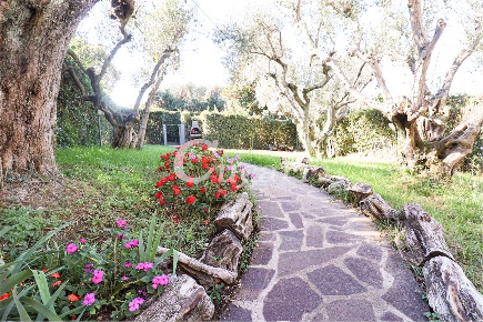 Foto Appartamento in via di salè, Frascati di 70 m² con 3 locali in vendita