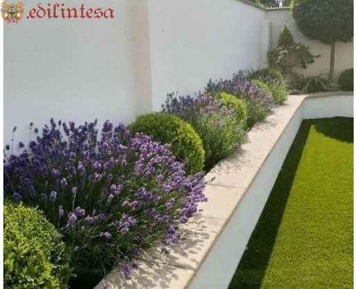 immagine annuncio 5 di 8