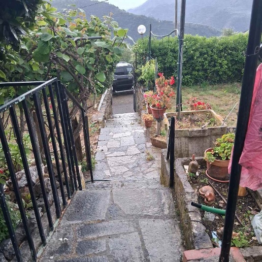 immagine annuncio 10 di 14