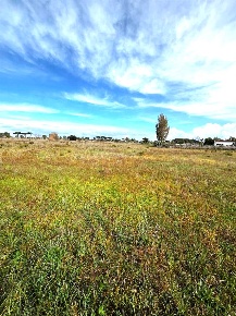Foto Terreno agricolo in via mirabella, Nettuno di 35737 m² in vendita