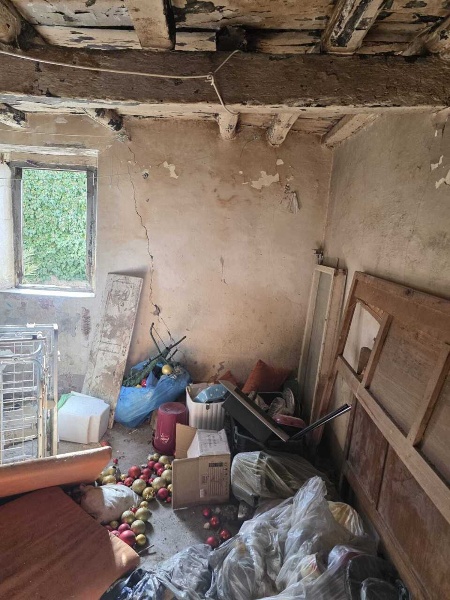 immagine annuncio 4 di 8