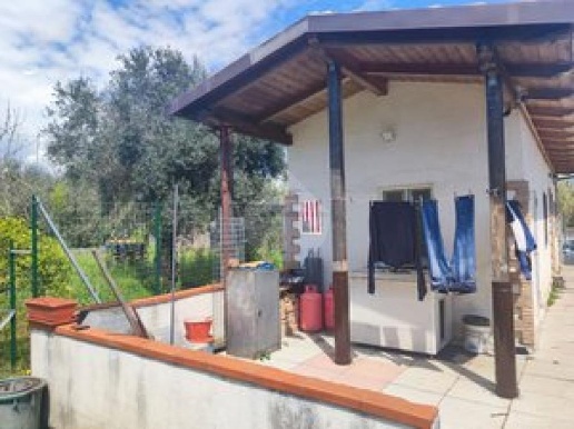 immagine annuncio 2 di 14