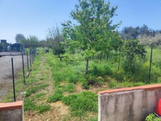 immagine annuncio 10 di 14