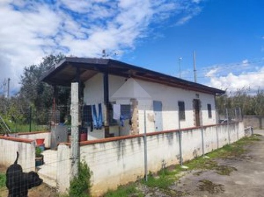 immagine annuncio 12 di 14