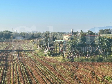 Foto Terreno agricolo in Via SAN SILVIANO SNC, Terracina di 5100 m²