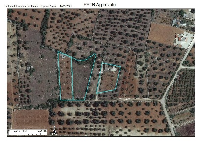 Foto Terreno agricolo in Strada Canale Arneo snc, Sava di 5000 m²