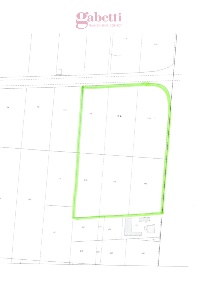 Foto Terreno agricolo in Via del mare 1, Candiana di 42324 m² in vendita