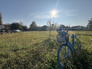 Foto Terreno residenziale in Via San Zeno SNC, Montagnana Centro di 3900 m²