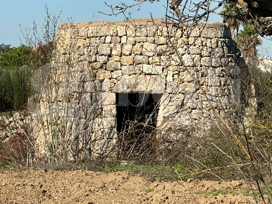 Foto Terreno agricolo in Via sp 290 snc, Ugento di 9820 m² in vendita
