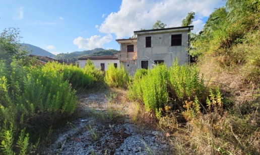 immagine annuncio 1 di 3