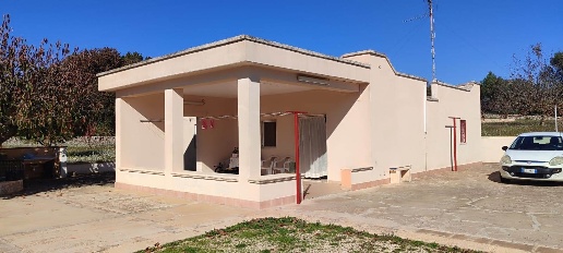 immagine annuncio 10 di 12