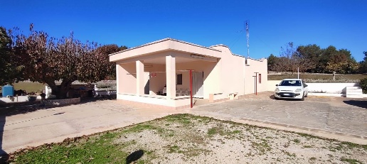 immagine annuncio 11 di 12