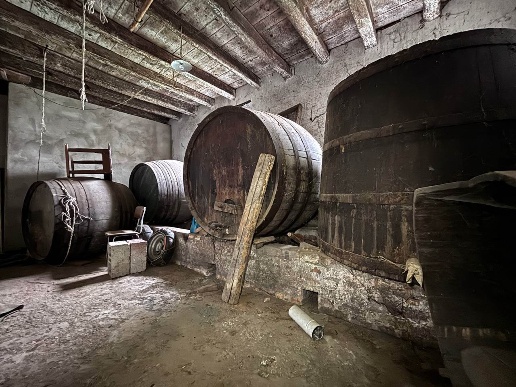 immagine annuncio 6 di 11