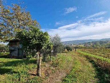 Foto Terreno agricolo a Taurasi di 10000 m² in vendita