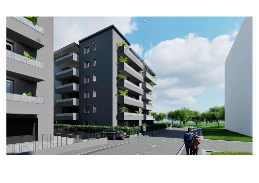 immagine annuncio 4 di 7