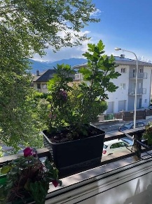 Foto Appartamento a Trento di 110 m² con 6 locali in affitto