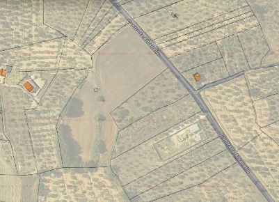 Foto Terreno agricolo a Gravina in Puglia di 14000 m² in vendita