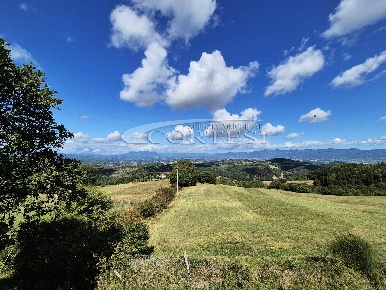 Foto Terreno agricolo in Monte Santa Maria Tiberina, di 130 m² in vendita
