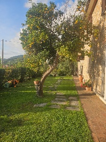 Foto Villa unifamiliare a Seravezza Centro di 260 m² con 10 locali