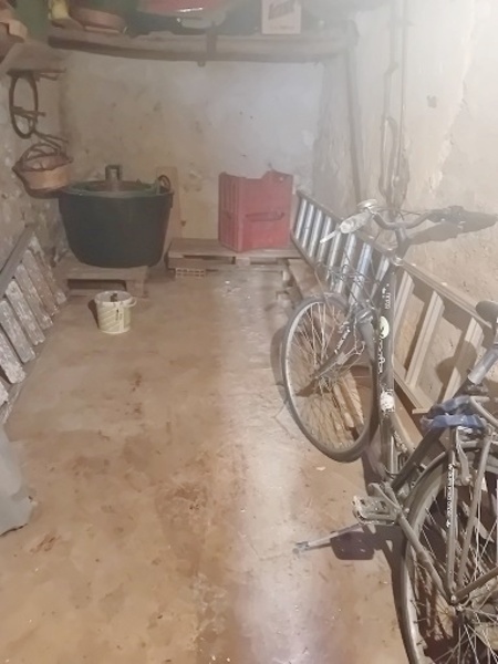 immagine annuncio 12 di 14