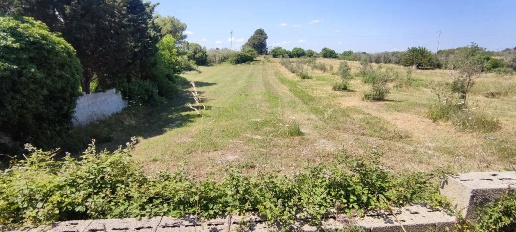 Foto Terreno agricolo in Fondi Piri, Uggiano la Chiesa di 12270 m²