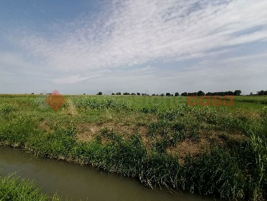 Foto Terreno agricolo in Via Facciabella 0, Casaleone di 26930 m²