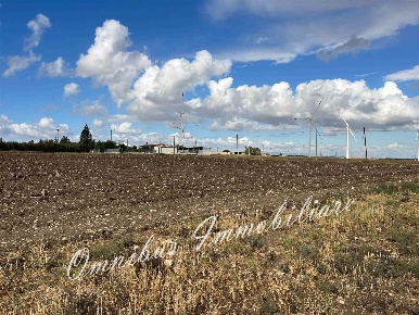 Foto Terreno agricolo a Foggia Montecalvello - Segezia in vendita