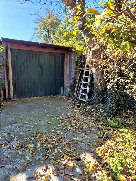 immagine annuncio 11 di 12