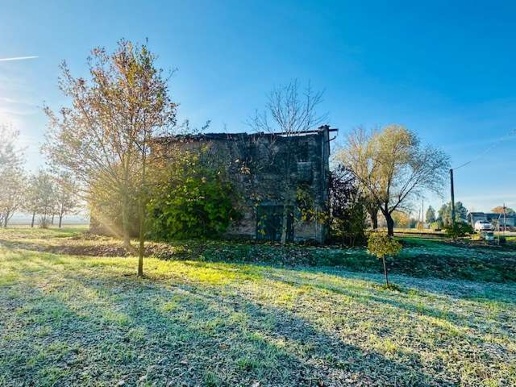 immagine annuncio 3 di 8