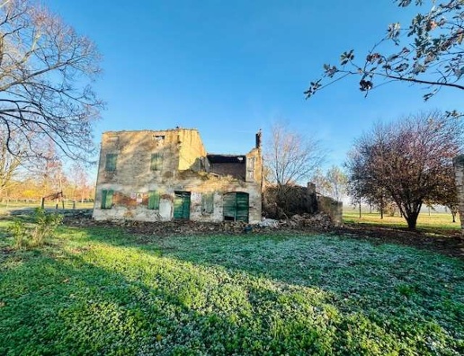 immagine annuncio 7 di 8