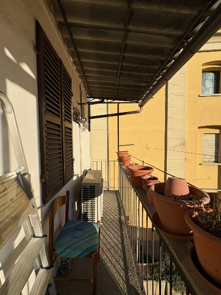 immagine annuncio 6 di 14