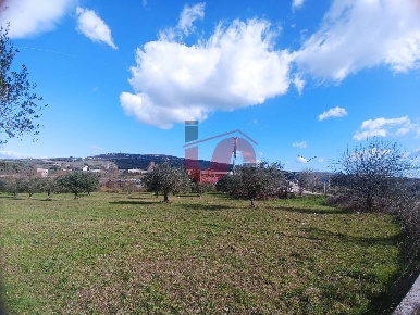 Foto Terreno industriale in Contrada Olivola, Benevento San Vitale