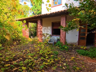 Foto Rustico in Via San Pantaleo, Vinci di 6000 m² con 30 locali in vendita