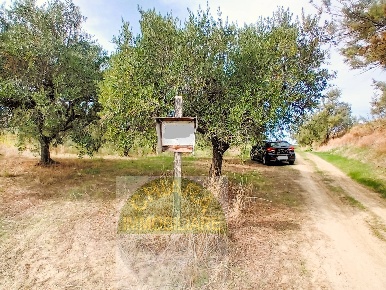 Foto Terreno agricolo a Cupello di 6640 m² in vendita